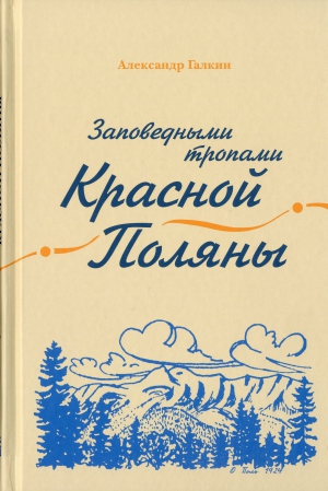 А. А. Галкин